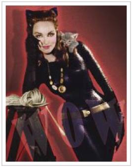 Perspectives on Catwoman Character by Charlyne Gelt